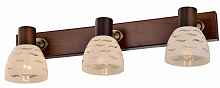 Спот Toplight Shayla TL3730Y-03BB - цена и фото Спот Toplight Shayla TL3730Y-03BB - цена и фото