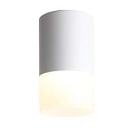 Светильник накладной ST Luce Ottu ST100.542.05 - цена и фото