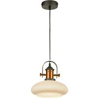 Светильник подвесной ST LUCE SOTTO SLD982.303.01 - цена и фото