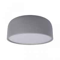 Потолочный светильник Axel 10201/350 Grey - цена и фото