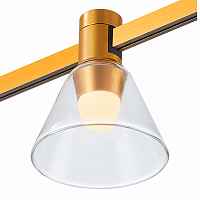 ST814.246.03 Магнитный трековый светильник FARM Золотистый LED 1*3W 4000K 89Lm Ra90 120 IP20 D90xH1 - цена и фото