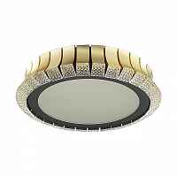 Потолочная люстра Odeon Light Asturo 4994/75L - цена и фото Потолочная люстра Odeon Light Asturo 4994/75L - цена и фото