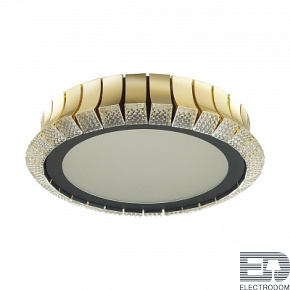 Потолочная люстра Odeon Light Asturo 4994/75L - цена и фото