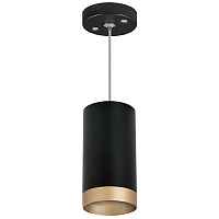 Lightstar Комплект со светильником Rullo RP43740 - цена и фото Lightstar Комплект со светильником Rullo RP43740 - цена и фото