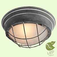 Накладной светильник Lussole LSP-988 GRLSP-9881 - цена и фото