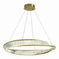 Подвесной светодиодный светильник ST Luce RITORTO SL6204.321.01 - цена и фото