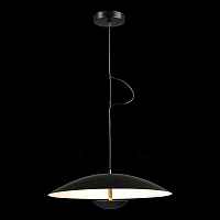 ST LUCE SL6502.403.01 Светильник подвесной ST-Luce Черный/Черный, Белый LED 1*35W 3000K - цена и фото