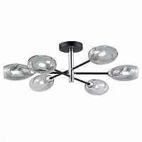 Люстра потолочныя Evoluce Gloa SLE155512-06 - цена и фото Люстра потолочныя Evoluce Gloa SLE155512-06 - цена и фото