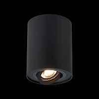 Потолочный светильник ST-Luce Torus ST108.417.01 - цена и фото Потолочный светильник ST-Luce Torus ST108.417.01 - цена и фото