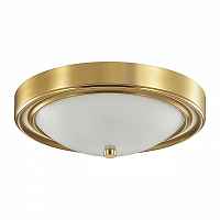 Светильник потолочный Lumion Nina 5259/2C - цена и фото Светильник потолочный Lumion Nina 5259/2C - цена и фото