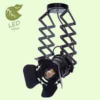 Спот Lussole Thornton GRLSP-9702 - цена и фото Спот Lussole Thornton GRLSP-9702 - цена и фото