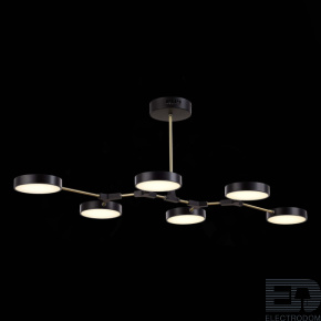 EVOLUCE SLE6004-402-06 Светильник потолочный Черный, Латунь/Черный LED 6*10W - цена и фото
