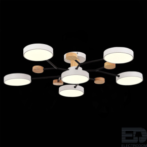 EVOLUCE SLE6006-502-06 Светильник потолочный Белый/Белый LED 6*12W 3000K/4500K/6000K - цена и фото