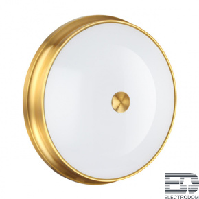 Настенно-потолочный светильник Odeon Light Walli 4824/4C - цена и фото