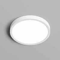 Накладной светильник Denkirs THIN DK6520-WH - цена и фото Накладной светильник Denkirs THIN DK6520-WH - цена и фото