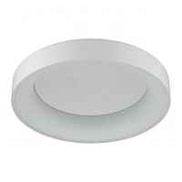 Светильник потолочный Odeon Light L-Vision 4066/40CL - цена и фото Светильник потолочный Odeon Light L-Vision 4066/40CL - цена и фото