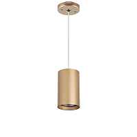 Lightstar Комплект со светильником Rullo RP4401 - цена и фото Lightstar Комплект со светильником Rullo RP4401 - цена и фото