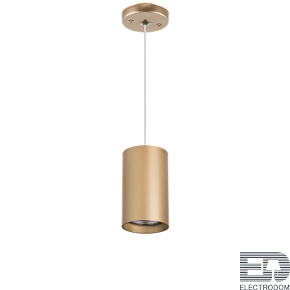 Lightstar Комплект со светильником Rullo RP4401 - цена и фото