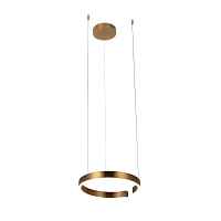 Подвесной светильник Loft IT Ring 10013S - цена и фото Подвесной светильник Loft IT Ring 10013S - цена и фото