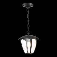 Светильник уличный подвесной ST-Luce SIVINO SL081.403.01 - цена и фото Светильник уличный подвесной ST-Luce SIVINO SL081.403.01 - цена и фото