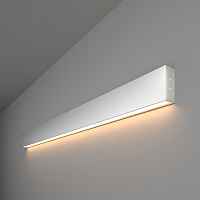 Настенный светодиодный светильник Elektrostandart 101-100-30-103 3000K матовое серебро - цена и фото