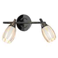 Настенно-потолочный светильник Brindisi Lussole LSX-6701-02 - цена и фото