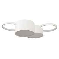 Потолочный светодиодный светильник Loft IT Pin 10317/4 White - цена и фото
