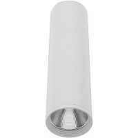 Kink Light Точечный светильник Фабио 08570-20,01 - цена и фото Kink Light Точечный светильник Фабио 08570-20,01 - цена и фото