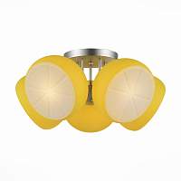 Люстра потолочная ST LUCE ARANCIO SL482.902.05 - цена и фото