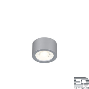 Потолочный светильник Favourite Deorsum 2808-1U - цена и фото
