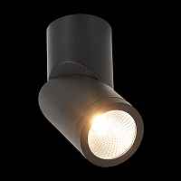 Светильник потолочный ST LUCE ST650 ST650.442.10 - цена и фото Светильник потолочный ST LUCE ST650 ST650.442.10 - цена и фото