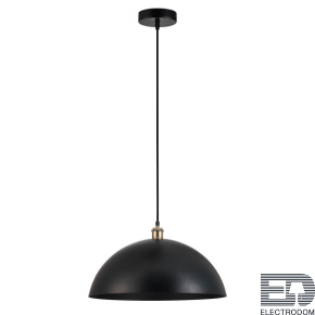Подвесной светильник Arte Lamp CAPPELLO A7056SP-1BK - цена и фото