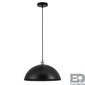 Подвесной светильник Arte Lamp CAPPELLO A7056SP-1BK - цена и фото