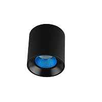 Накладной светильник Denkirs DK3040 DK3090-BK+CY - цена и фото Накладной светильник Denkirs DK3040 DK3090-BK+CY - цена и фото