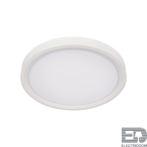 Потолочный светильник Loft IT Extraslim 10227/24 White - цена и фото