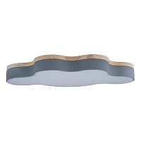 Потолочный светильник Loft IT Axel 10005/36 Grey - цена и фото Потолочный светильник Loft IT Axel 10005/36 Grey - цена и фото