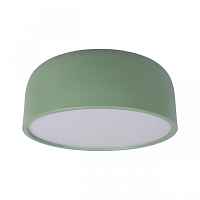 Потолочный светильник Axel 10201/350 Green - цена и фото