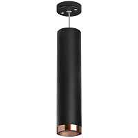 Lightstar Комплект со светильником Rullo RP497430 - цена и фото Lightstar Комплект со светильником Rullo RP497430 - цена и фото