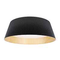 Потолочный светильник Loft IT Evans 10224 Black - цена и фото Потолочный светильник Loft IT Evans 10224 Black - цена и фото