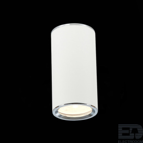 Потолочный светильник ST-Luce ST111.507.01 - цена и фото