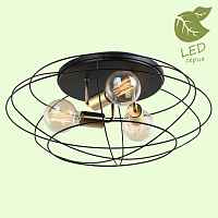 Накладной светильник Lussole LOFT GRLSP-8195 - цена и фото Накладной светильник Lussole LOFT GRLSP-8195 - цена и фото