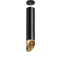 Lightstar Комплект со светильником Rullo RP497140 - цена и фото Lightstar Комплект со светильником Rullo RP497140 - цена и фото