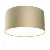 Светильник накладной LED Zon C032CL-L12MG4K Maytoni - цена и фото