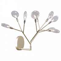 Бра Crystal Lux Evita EVITA AP9 GOLD/TRANSPARENT - цена и фото Бра Crystal Lux Evita EVITA AP9 GOLD/TRANSPARENT - цена и фото