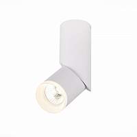 Светильник накладной ST Luce Tortelle ST107.542.10 - цена и фото