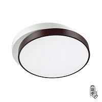 Потолочный светодиодный светильник Lumion Ledio Agatha 4509/72CL - цена и фото