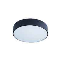 Потолочный светильник Loft IT Axel 10002/12 Black - цена и фото Потолочный светильник Loft IT Axel 10002/12 Black - цена и фото