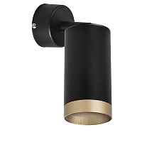 Lightstar Комплект со светильником Rullo RB43740 - цена и фото Lightstar Комплект со светильником Rullo RB43740 - цена и фото