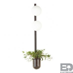 Настенный светильник Odeon Light Walli 4681/2WA - цена и фото