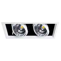 Потолочные светильники Arte Lamp MERGA A8450PL-2WH